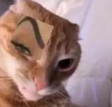 NAWW