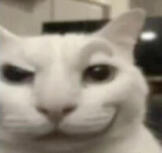 smug asf