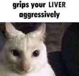 grips your liver aggressively grips your liver aggressively