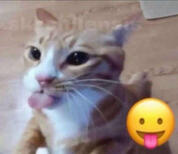 blehhhhh