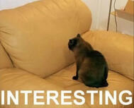 very interesting very interesting